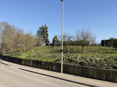 BAUPLATZ FÜR EIN MEHRFAMILIENHAUS - Grundstück Walzbachtal | Angebot:27159389