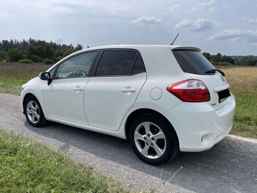 Auris
