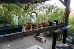 Hochparterre Pfinztal - 2 Zimmer, 58 m&sup2;, 175.000&euro; | Angebot:26987232