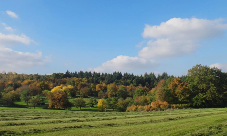 Einfamilienhaus Engelsbrand - 8 Zimmer, 200 m&sup2;, 698.000&euro; | Angebot:16634046