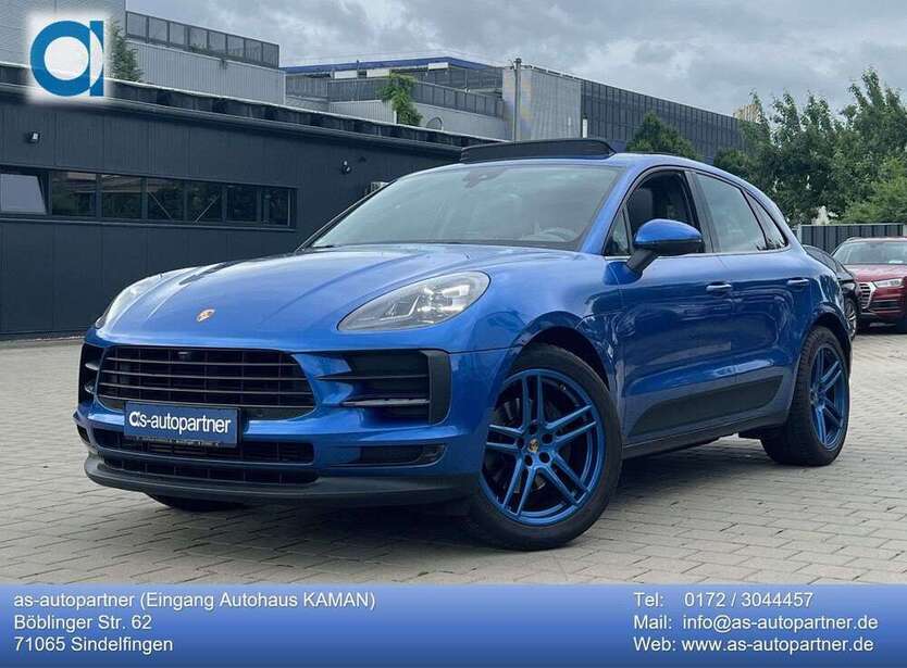 Macan