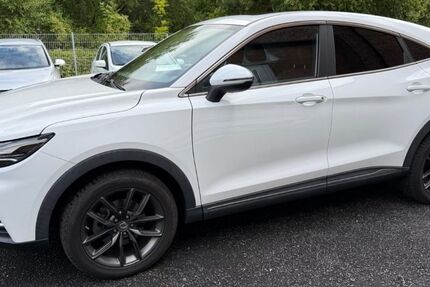 DFSK Fengon 5 84.000 km 15.600 &euro; Schömberg 75328