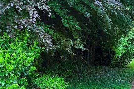 3 Zimmer Wohnjuwel mit Traumblick auf Nordrand des Schwarzwaldes! 3 zimmer