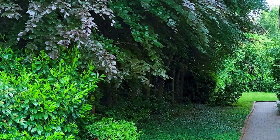 3 Zimmer Wohnjuwel mit Traumblick auf Nordrand des Schwarzwaldes! 3 zimmer