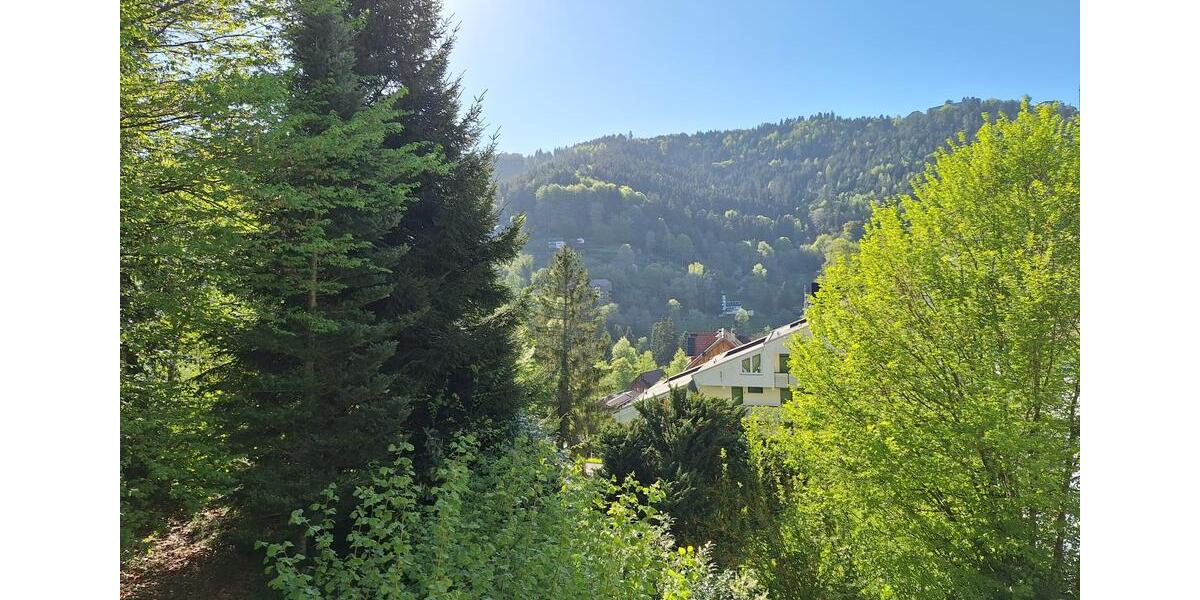 Hochparterre Bad Wildbad - 1 Zimmer, 35 m&sup2;, 87.400&euro; | Angebot:27189976