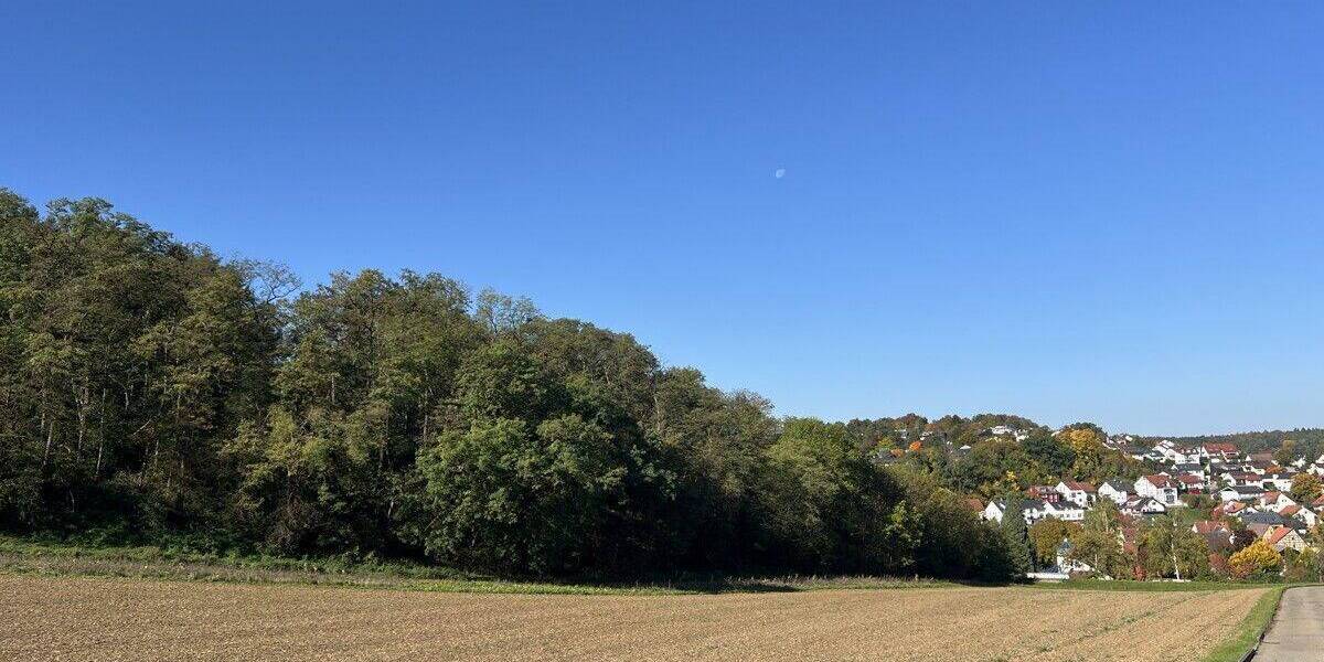 Doppelhaushälfte Weissach Flacht - 6 Zimmer, 164 m&sup2;, 789.500&euro; | Angebot:26867534