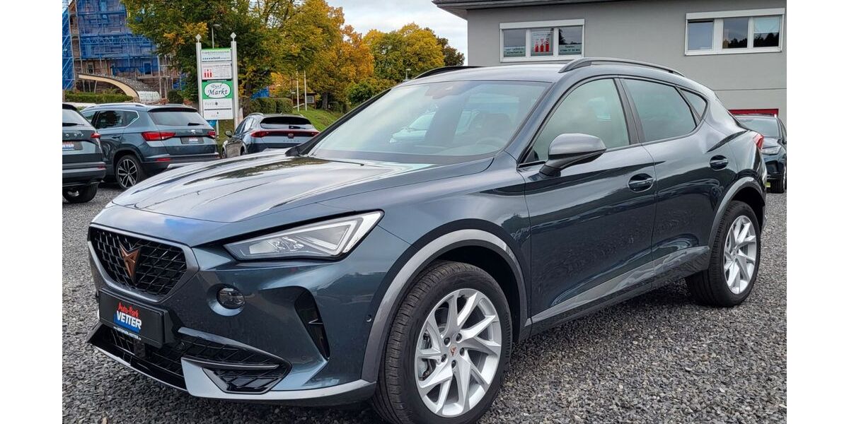 Cupra Formentor 7.500 km 29.990 &euro; Oberreichenbach 75394