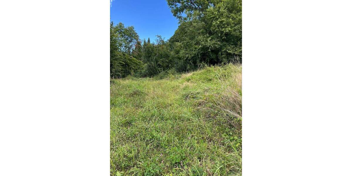 Traumgrundstück zimmer