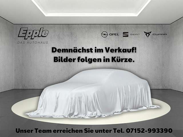 Seat Ibiza 2.719 km 20.890 &euro; Rutesheim 71277