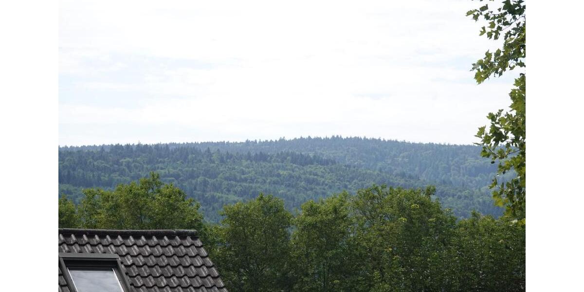 Attraktive 4,5-Zimmer Wohnung mit Garten in Pforzheim-Arlinger 4.5 zimmer