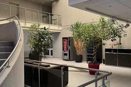 heller, freundlicher Büroraum in Leonberg-Höfingen zimmer