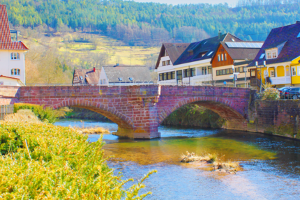 Haus Wildberg - 21 Zimmer, 813 m&sup2;, 1.180.000&euro; | Angebot:26053457