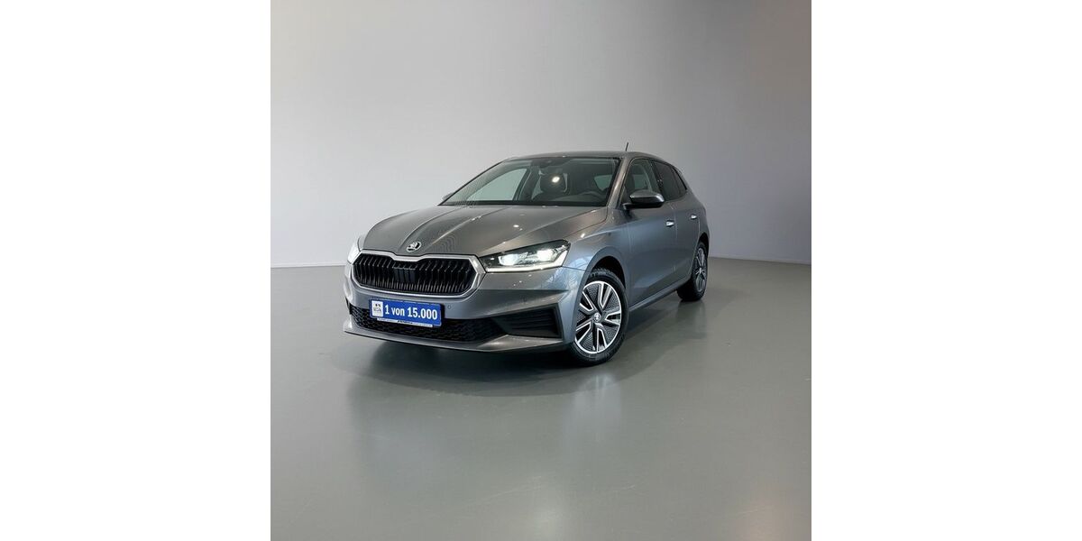 Skoda Fabia 30.796 km 16.700 &euro; Karlsruhe 76227