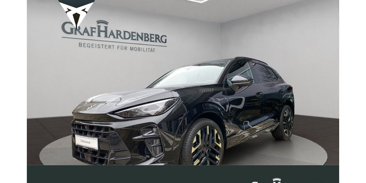 Cupra Terramar 3.500 km 50.390 &euro; Karlsruhe 76131
