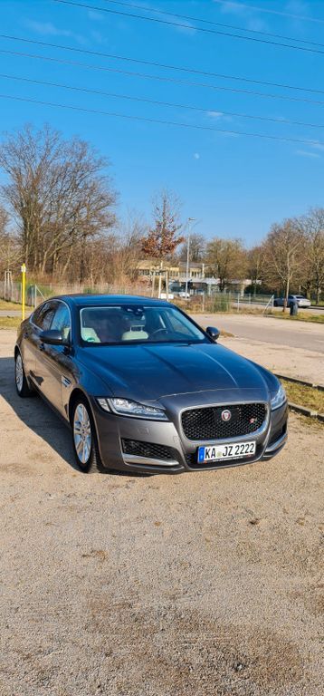 XF