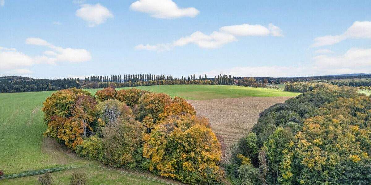 Ihr Rückzugsort mit Zukunft - zwischen Stadt und Stille! 5 zimmer