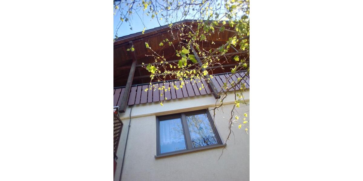 Einfamilienhaus Bad Liebenzell - 8 Zimmer, 230 m&sup2;, 419.000&euro; | Angebot:26889302