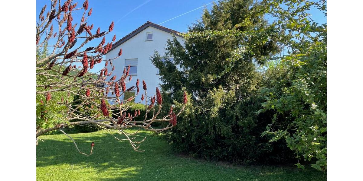 Gepflegtes EFH mit Gartenanteil in ruhiger Wohnlage 5 zimmer