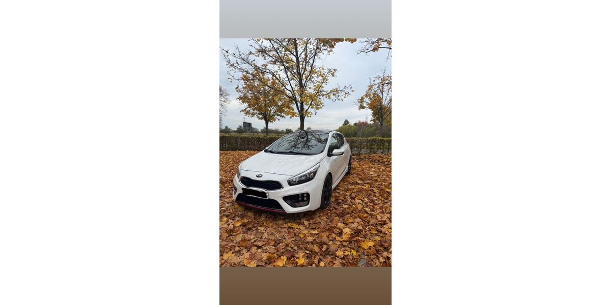 Kia ceed / Ceed 83.800 km 15.200 &euro; Malsch 76316