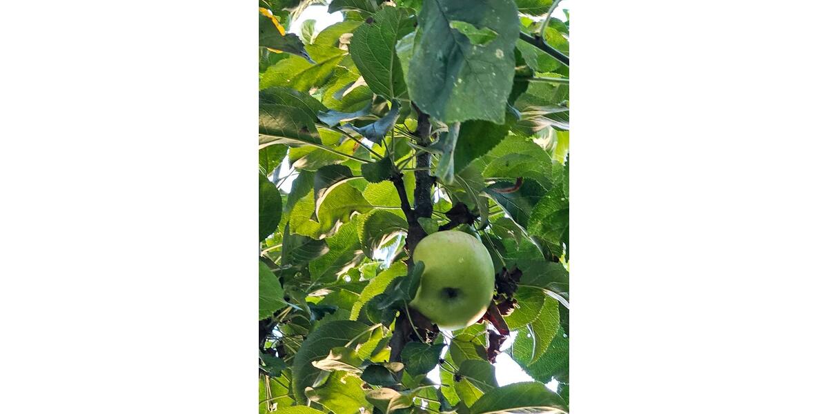 Maisonettenwohnung Pforzheim Eutingen - 4.5 Zimmer, 120 m&sup2;, 395.000&euro; | Angebot:23573621