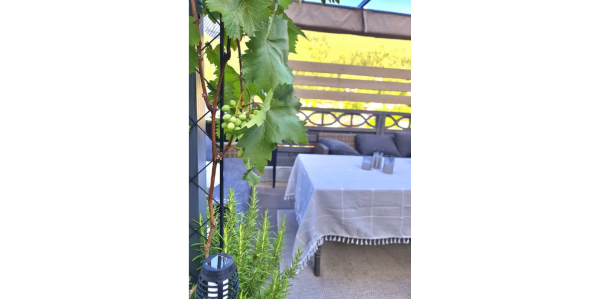 PROVISIONSFREI: Traumhafte 5-Zimmer Wohnung mit Garage & Carport 5 zimmer