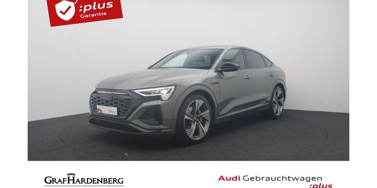 Audi Q8 e-tron 29.683 km 46.980 &euro; Karlsruhe 76131