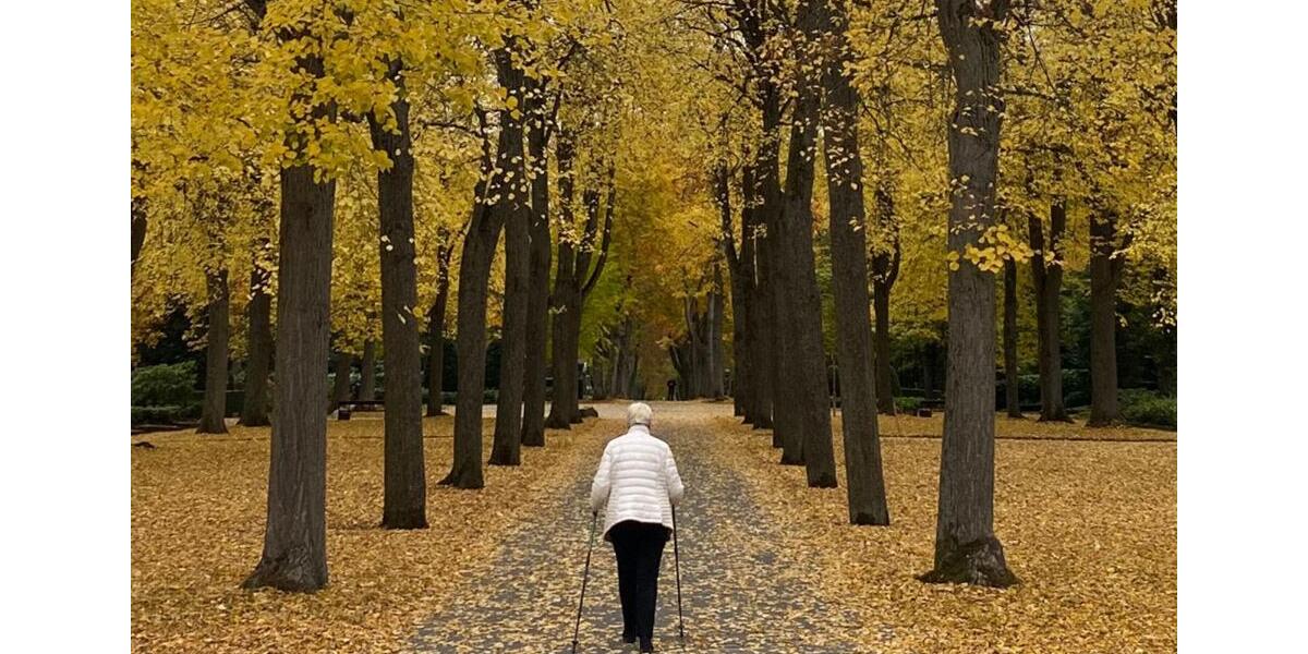 Erdgeschoßwohnung Pforzheim Eutingen - 2 Zimmer, 46 m&sup2;, 389&euro; | Angebot:25654071