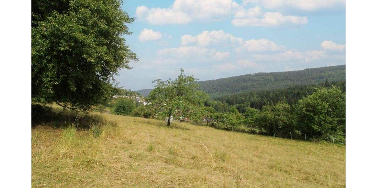 Grundstück Bad Wildbad Sprollenhaus - 124.500&euro; | Angebot:25749679