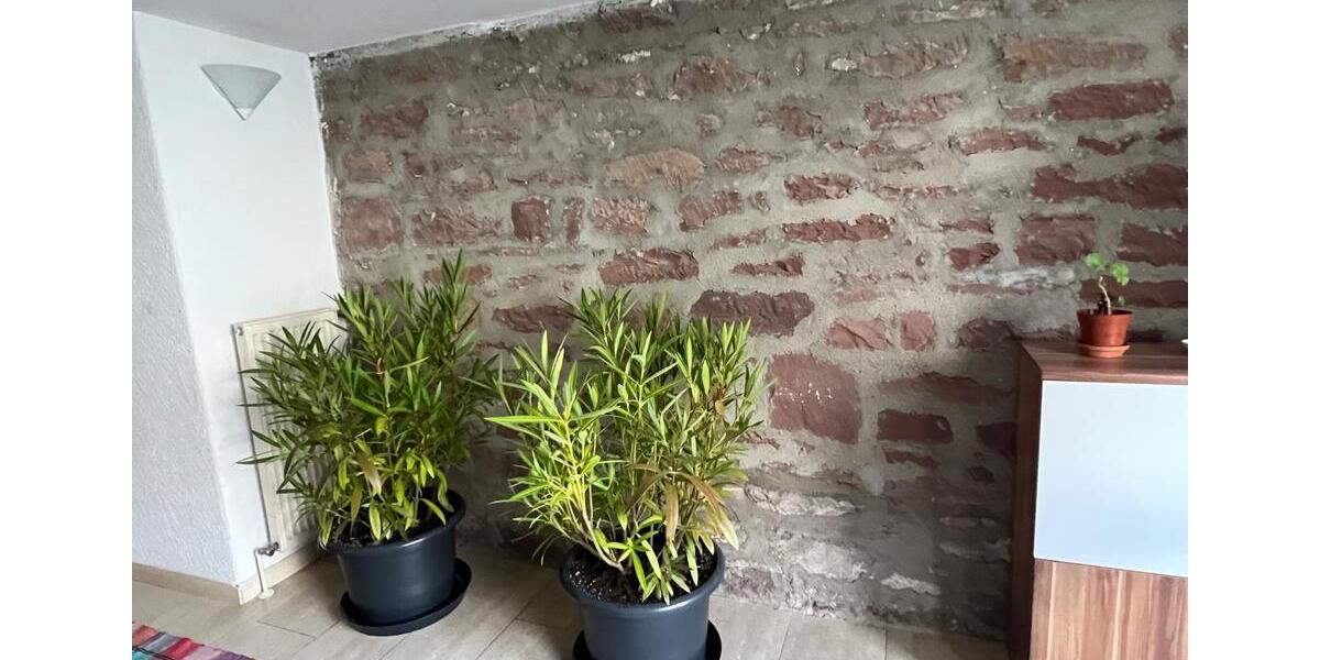 Mehrfamilienhaus, Wohnhaus Keltern - 9 Zimmer, 214 m&sup2;, 465.000&euro; | Angebot:26353168