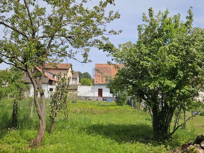Grundstück Weingarten (Baden) - 249.000&euro; | Angebot:26364661