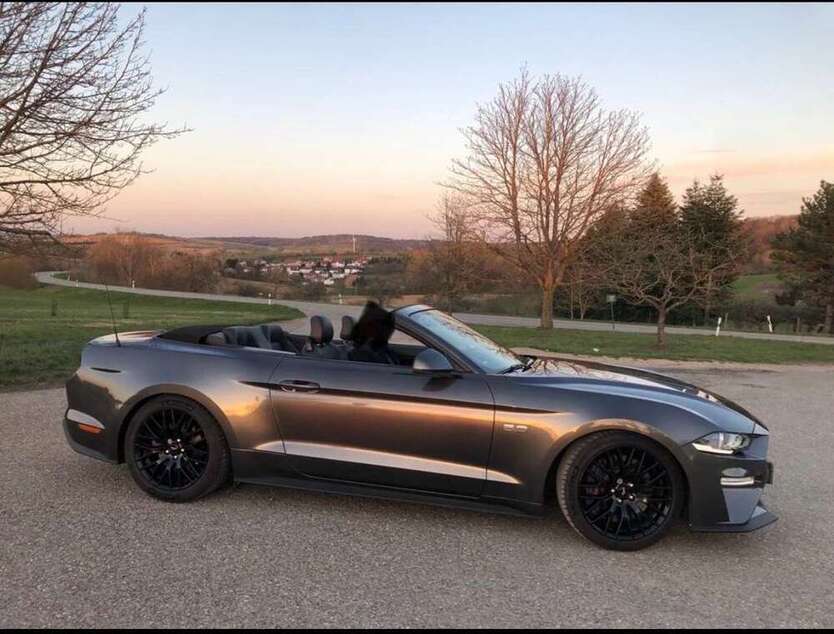 Mustang