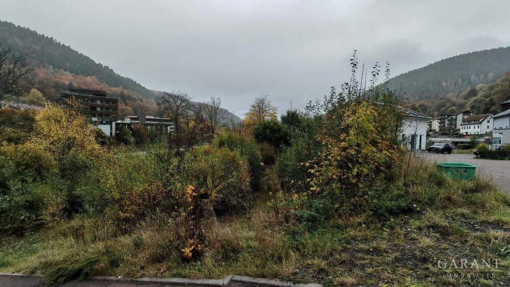 Baugrundstück in Top-Lage von Bad Wildbad mit Blick auf die große Enz zimmer