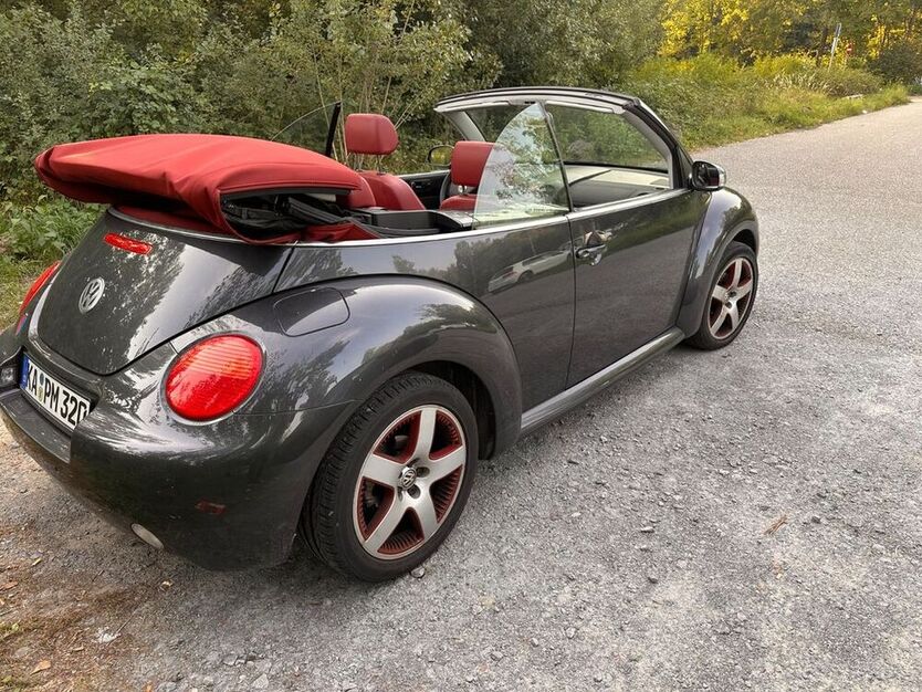 Beetle