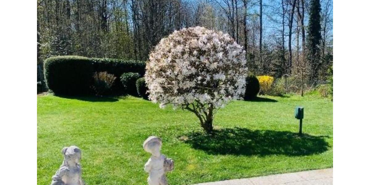 Erdgeschoßwohnung Pforzheim Eutingen - 2 Zimmer, 46 m&sup2;, 389&euro; | Angebot:25654071