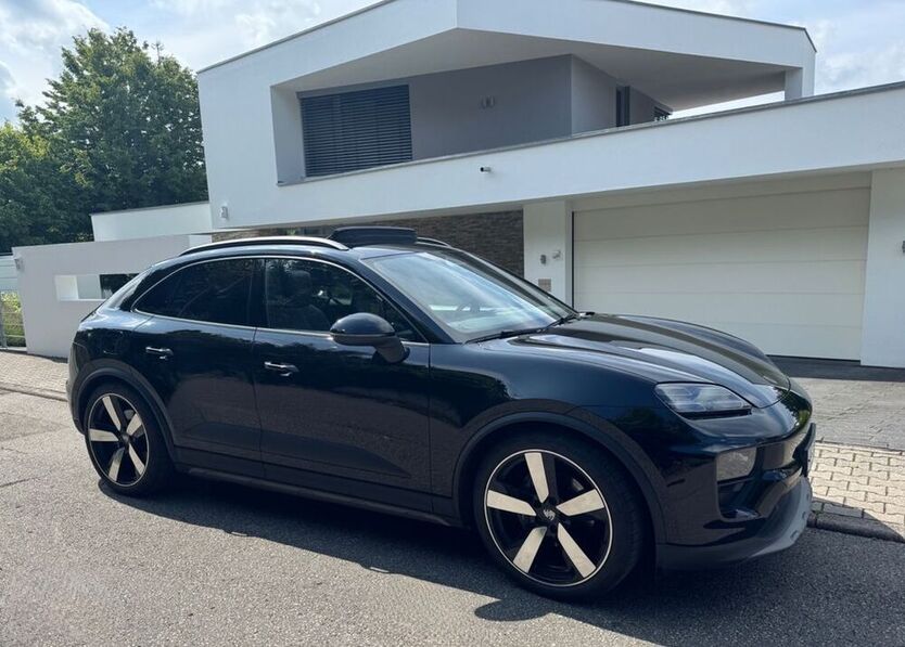 Macan