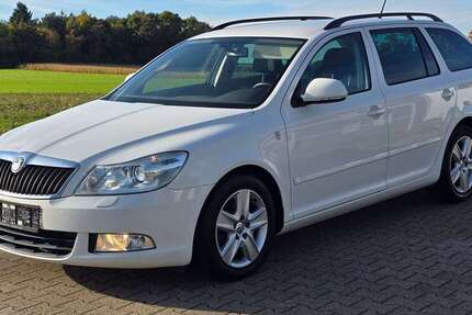 Skoda Octavia 246.000 km 3.790 € Wiernsheim 75446