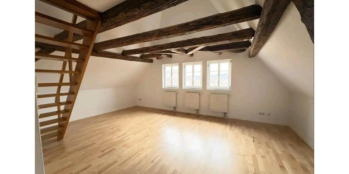 Dachgeschoßwohnung Vaihingen an der Enz - 2 Zimmer, 42 m&sup2;, 670&euro; | Angebot:25658022