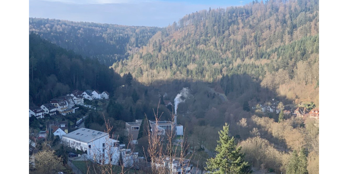 Etagenwohnung Bad Liebenzell - 1 Zimmer, 54 m&sup2;, 123.000&euro; | Angebot:26204308