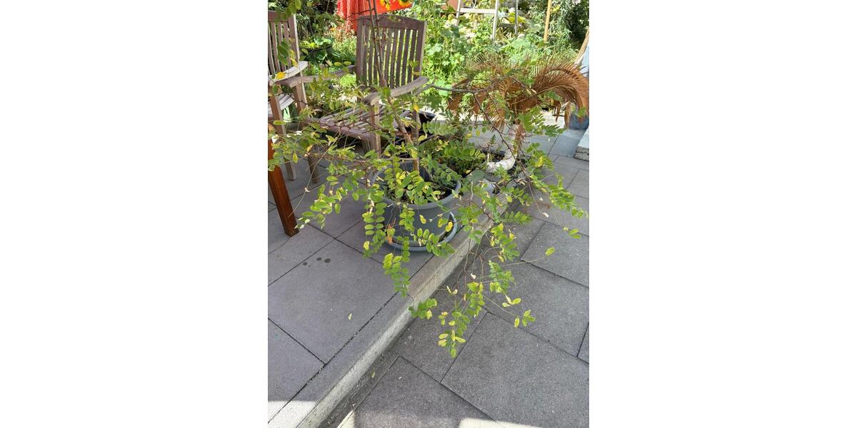 Gewerbeobjekt Karlsruhe Mühlburg - 418&euro; | Angebot:26479285