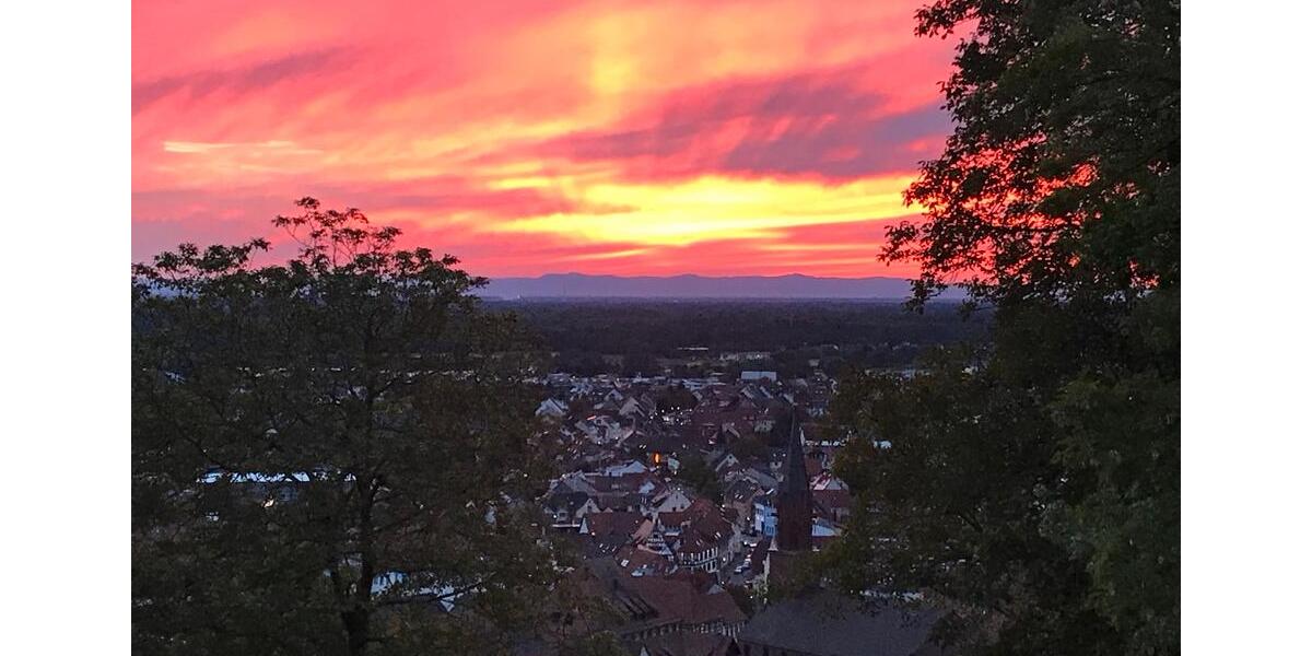 Loft - Studio - Atelier Weingarten (Baden) - 2 Zimmer, 50 m&sup2;, 690&euro; | Angebot:24146280