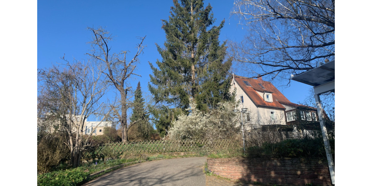 Haus statt Wohnung mieten - Renoviertes EFH mit grossem Garten 4.5 zimmer