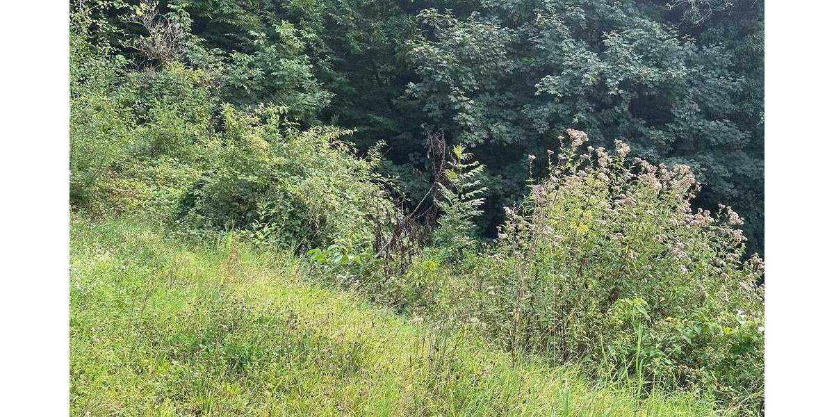 Traumgrundstück zimmer