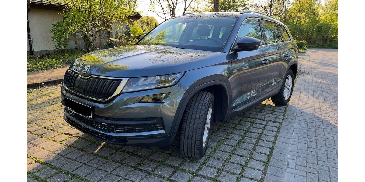 Skoda Kodiaq 119.390 km 17.200 &euro; Bruchsal 76646