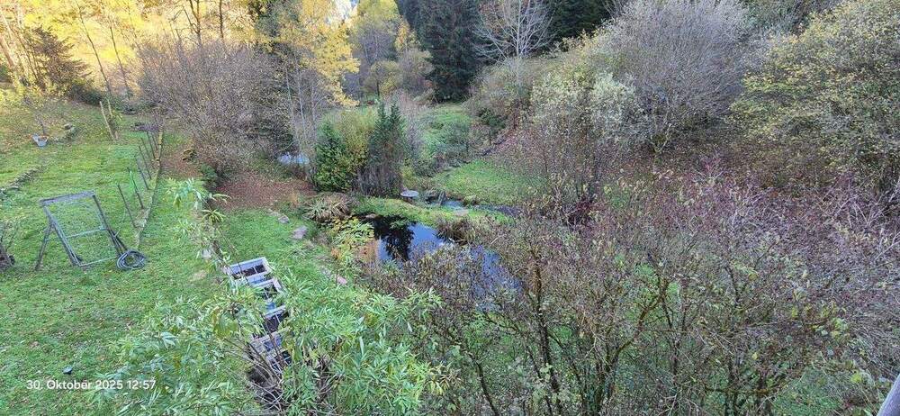 Für Naturliebhaber, freistehendes Haus in herrlicher Lage mitten im Wald. Fast autark 8 zimmer