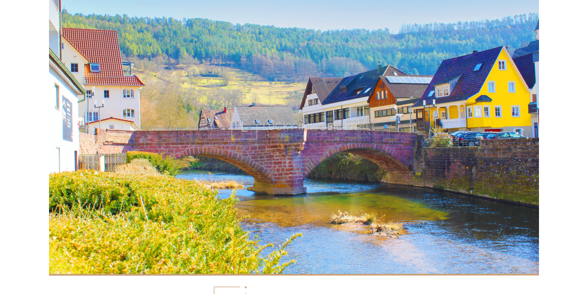 Haus zum Kaufen in Wildberg 1.180.000 € 813.42 m² 21 zimmer