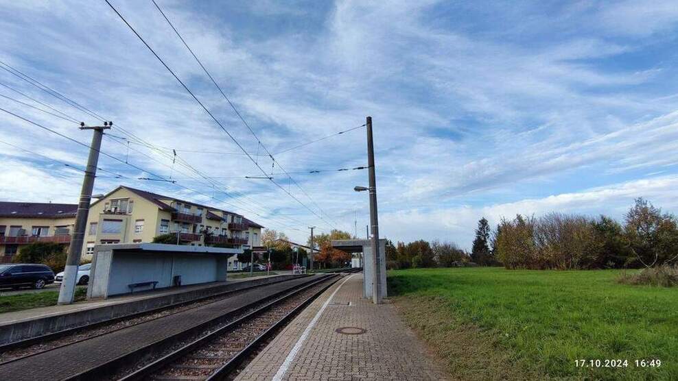 Spitzen-Bauplatz für freistehendes EFH - in direkter Feldrandlage