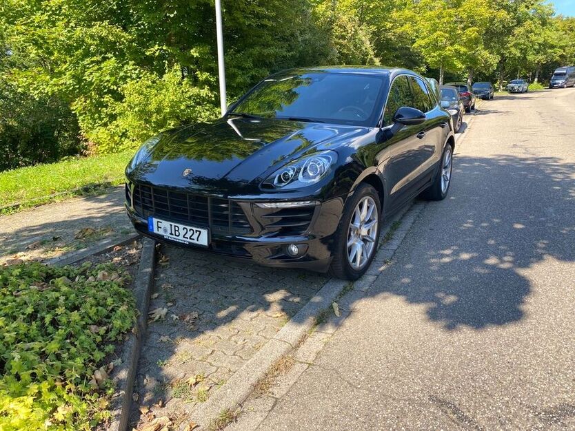 Macan