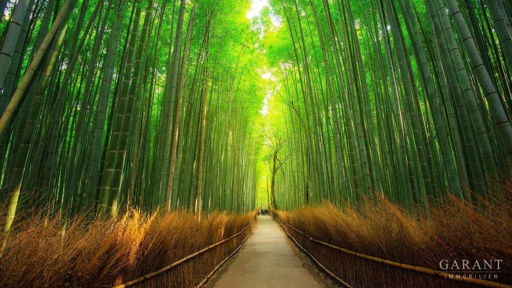 Grundstück Karlsruhe Mühlburg - 930.000&euro; | Angebot:25707691