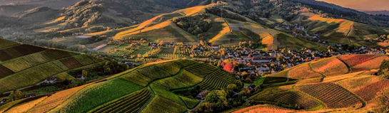 Mehliskopf Aussicht & Action