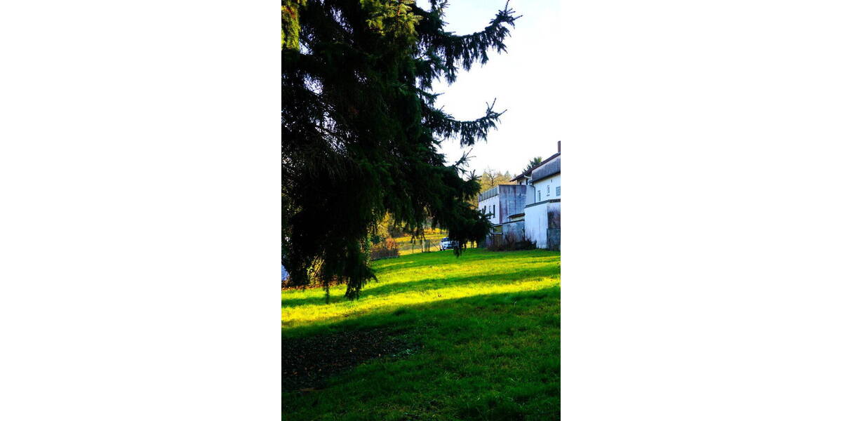 Doppelhaushälfte Bruchsal - 7 Zimmer, 162 m&sup2;, 425.000&euro; | Angebot:26534949